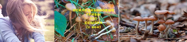 Альфа ПВП Вяземский