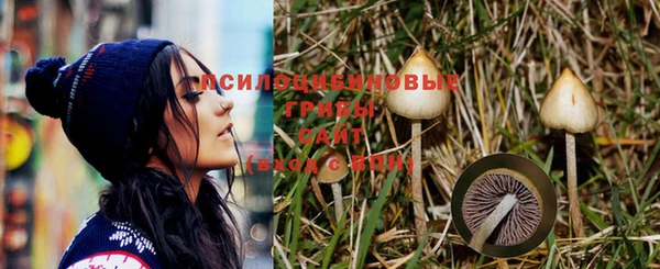 ешки Вязьма