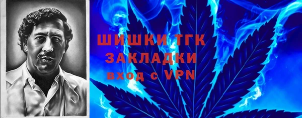 прущие крисы Бородино