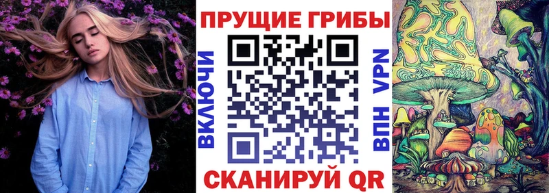 купить наркотик  Ирбит  Галлюциногенные грибы ЛСД 